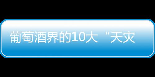 葡萄酒界的10大“天災人禍”,嘆息!