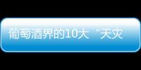 葡萄酒界的10大“天災人禍”，嘆息！