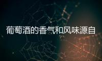 葡萄酒的香氣和風味源自何方？