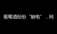 葡萄酒紛紛“觸電”，網購已成葡萄酒市場的新增長點