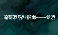 葡萄酒品種指南——桑嬌維塞