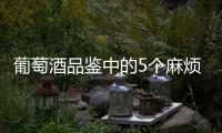 葡萄酒品鑒中的5個(gè)麻煩詞