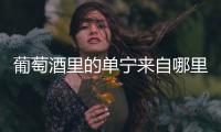 葡萄酒里的單寧來自哪里？