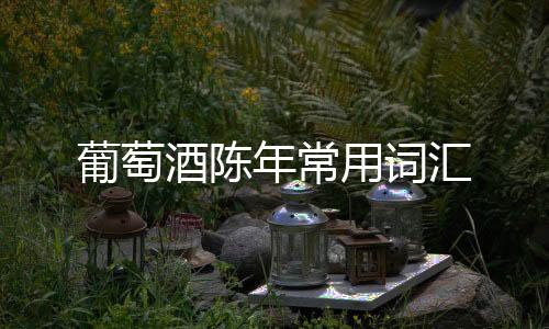 葡萄酒陳年常用詞匯