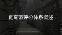 葡萄酒評分體系概述