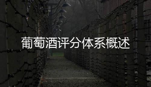 葡萄酒評分體系概述