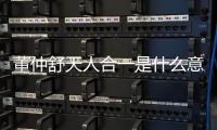 董仲舒天人合一是什么意思（天人合一是什么意思）