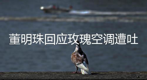 董明珠回應玫瑰空調遭吐槽：要不斷地創新，把空調做成家里的藝術品