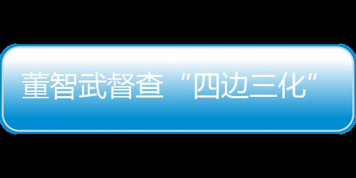 董智武督查“四邊三化”及“河長(zhǎng)制”
