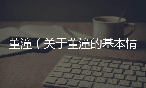 董潼（關(guān)于董潼的基本情況說(shuō)明介紹）