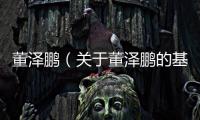 董澤鵬（關于董澤鵬的基本情況說明介紹）