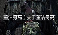 董潔身高（關(guān)于董潔身高的基本情況說明介紹）