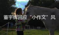 董宇輝回應“小作文”風波