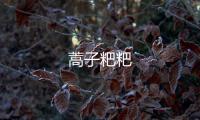 蒿子粑粑