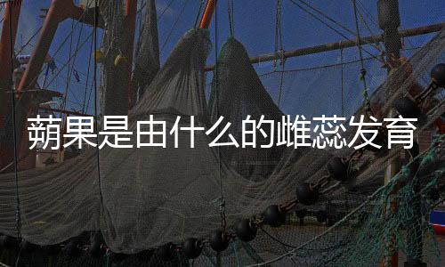 蒴果是由什么的雌蕊發育而成的果實（蒴果）