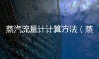 蒸汽流量計計算方法（蒸汽流量計算公式）