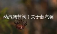 蒸汽調(diào)節(jié)閥（關(guān)于蒸汽調(diào)節(jié)閥的基本情況說明介紹）