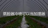 蒸臉器冷噴可以當加濕器用嗎 不建議這么做