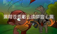 蒹葭蒼蒼怎么讀拼音（蒹葭蒼蒼怎么讀）