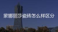 蒙娜麗莎瓷磚怎么樣區分廣東磚和外地磚（蒙娜麗莎瓷磚怎么樣）