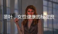 蔞葉，女性健康的秘密良方
