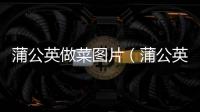 蒲公英做菜圖片（蒲公英菜圖片）