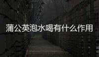 蒲公英泡水喝有什么作用和功效（探究蒲公英的藥用價值）