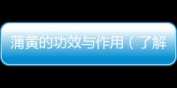 蒲黃的功效與作用（了解蒲黃的藥用價(jià)值）