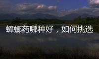 蟑螂藥哪種好，如何挑選最有效的蟑螂藥