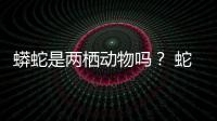 蟒蛇是兩棲動物嗎？ 蛇是兩棲動物嗎