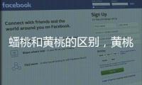 蟠桃和黃桃的區(qū)別，黃桃果肉是黃色（蟠桃入口即化）