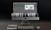 蚓螈目（蚓螈）