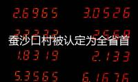 蠶沙口村被認定為全省首家民俗文化調研基地