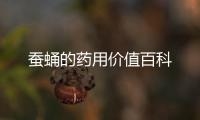 蠶蛹的藥用價值百科