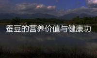蠶豆的營(yíng)養(yǎng)價(jià)值與健康功效詳解