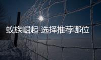 蟻族崛起 選擇推薦哪位英雄或者英雄？