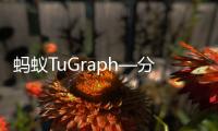 螞蟻TuGraph—分布式圖數據庫系統