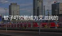 蚊子叮咬能成為艾滋病的傳播渠道？不妨來看看醫生的分析！