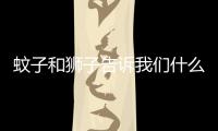 蚊子和獅子告訴我們什么道理 蚊子和獅子的故事告訴我們什么道理