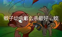 蚊子幼蟲怎么殺最好，蚊子幼蟲怎么殺
