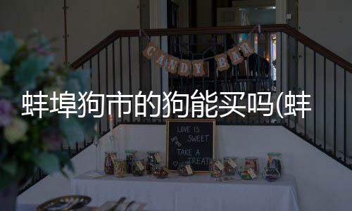 蚌埠狗市的狗能買嗎(蚌埠狗市場幾點開始)