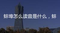 蚌埠怎么讀音是什么，蚌埠怎么讀