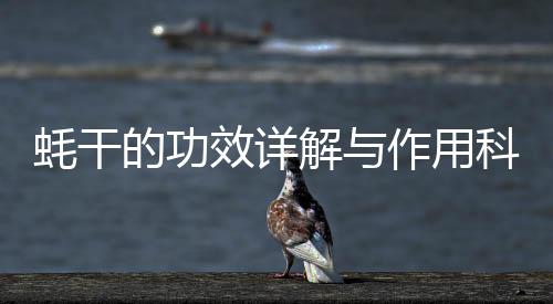 蠔干的功效詳解與作用科普