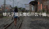 蛙兒子貓頭鷹吃什么（貓頭鷹吃什么）