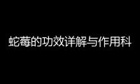 蛇莓的功效詳解與作用科普