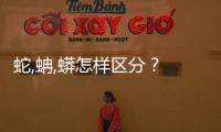 蛇,蚺,蟒怎樣區分？ 蚺和蛇和蟒的區別