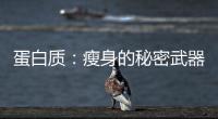 蛋白質：瘦身的秘密武器