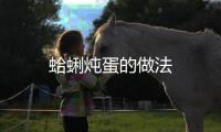 蛤蜊燉蛋的做法
