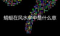蜻蜓在風水學中是什么意思蜻蜓的秘密是什么(真相大白)