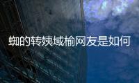 蜘的轉姨域榆網友是如何評論的！